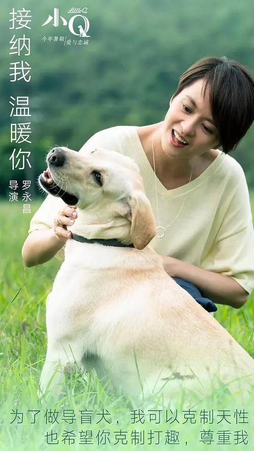 做假的兴业银行转账取款小票